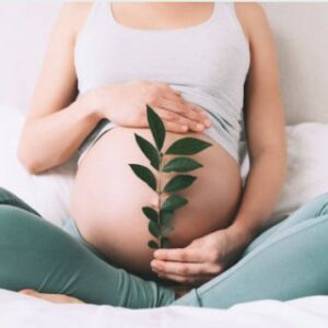 Synergie Fleurs de Bach Personnalisée – Grossesse & Post-partum